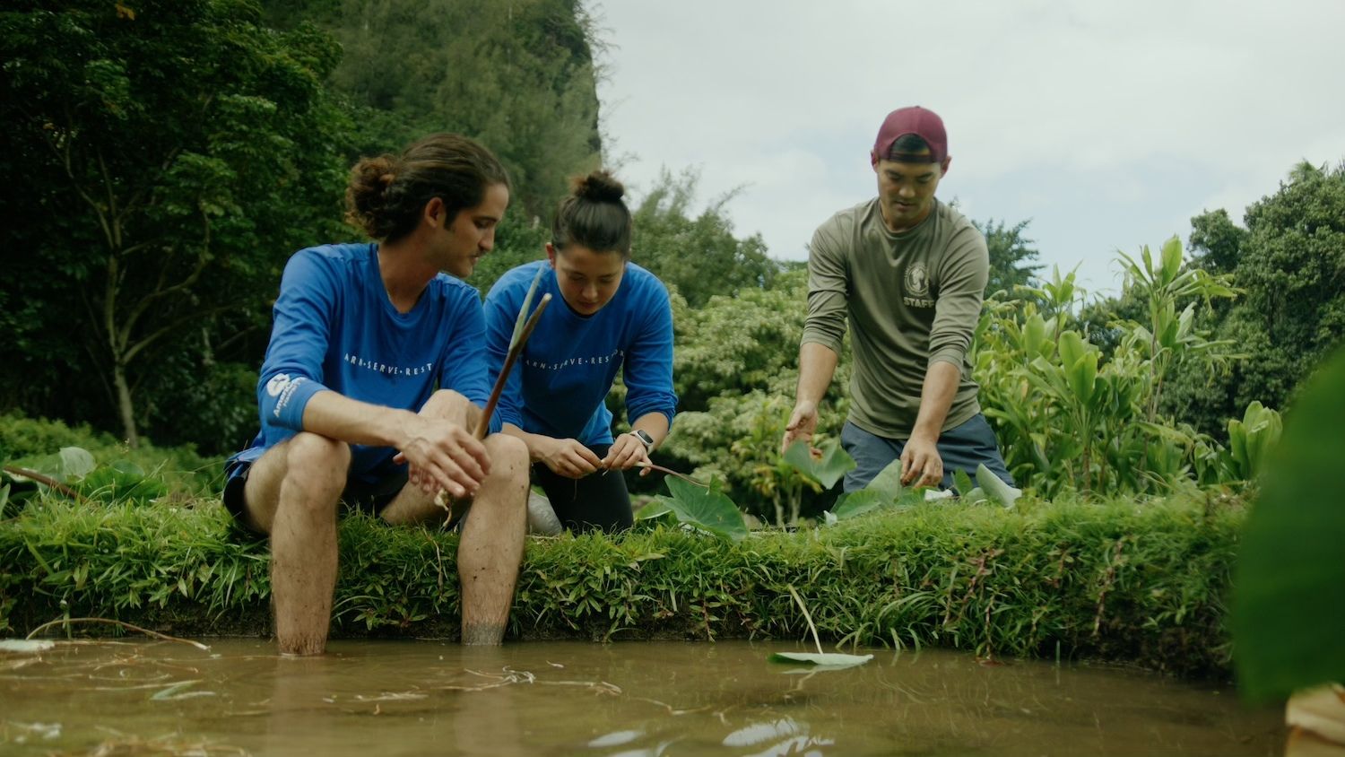 Kupu team members on a taro farm. 